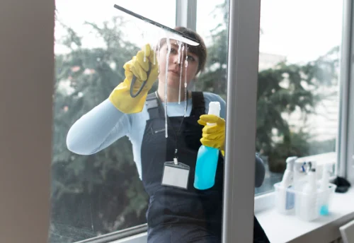 Nettoyage de vitres intérieures et extérieures à Houssay
